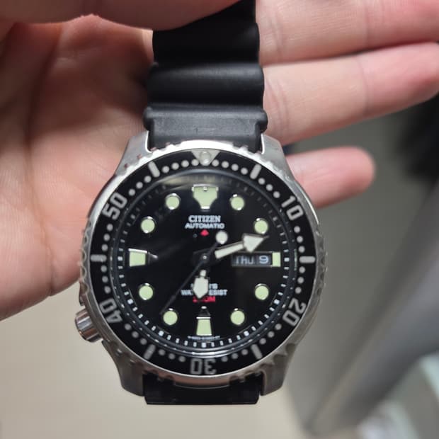 시티즌 복어 Ny0040 