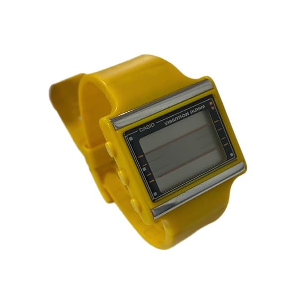 Casio retro vibration alarm watch