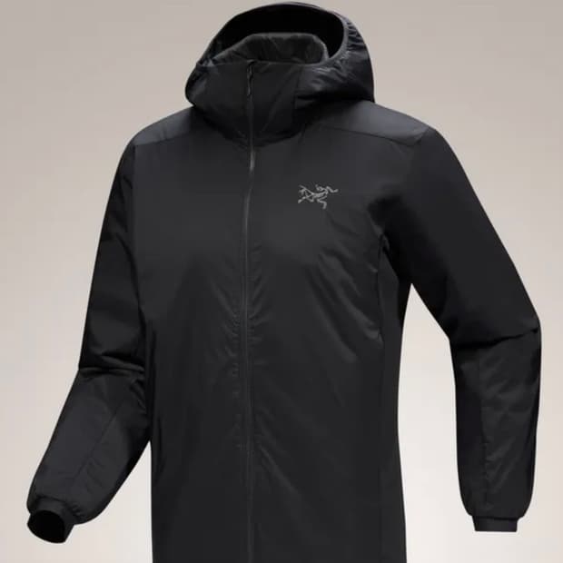 [L] 아크테릭스 아톰 후디 블랙