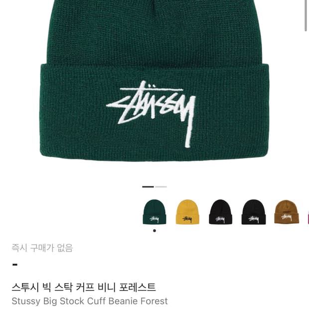스투시 빅 스탁 커프 비니 포레스트 Stussy Big Stock Cuf