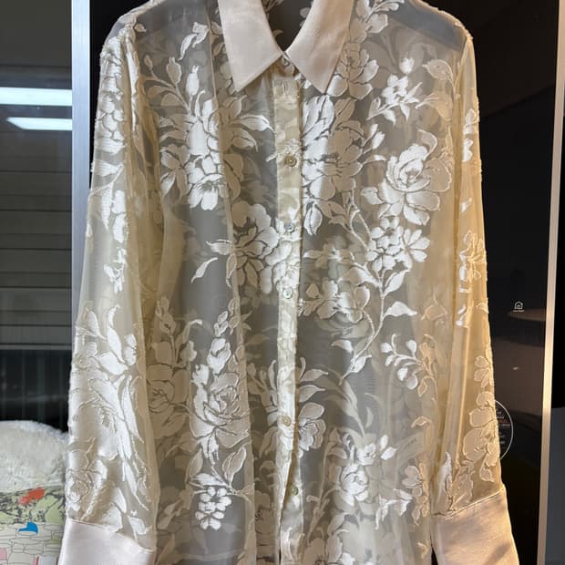 Zara 시스루블라우스