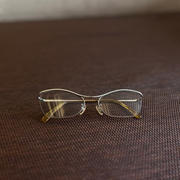 Hakusan vintage glasses