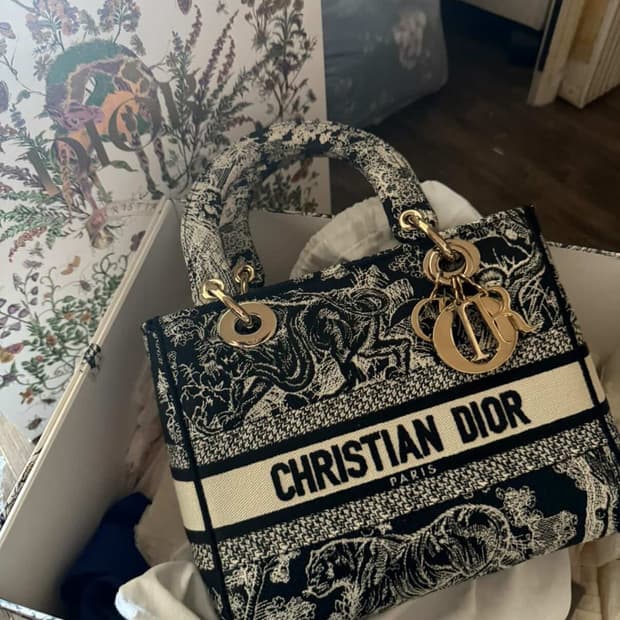 디올 레이디 디라이트 미디엄 팝니다