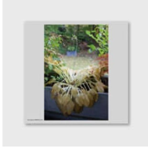 혁오 사랑으로 lp