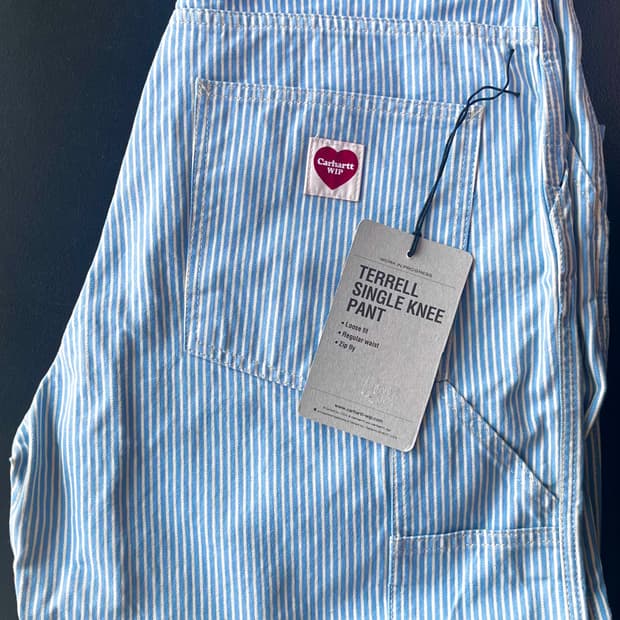 칼하트 WIP 테렐 싱글 니 팬츠