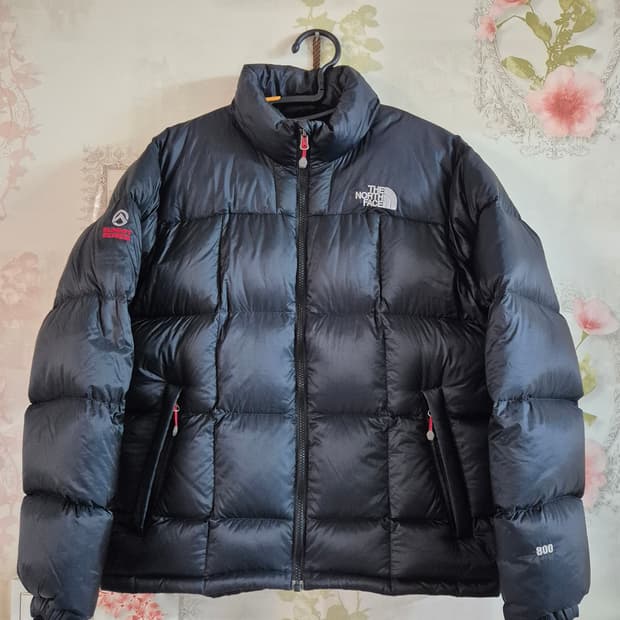 노스페이스 써밋시리즈 퍼텍스퀸텀 구스800 남자 95