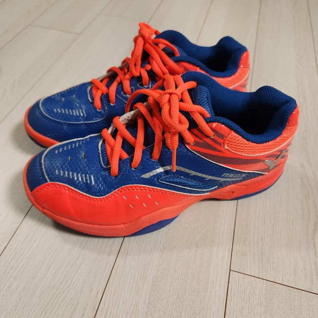 빅터 배드민턴화 사이즈230


여러 중고사이트에도 같이 판매하고 있어서