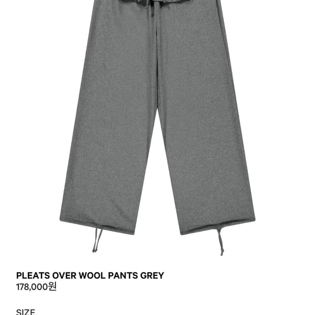 코이세이오 PLEATS OVER WOOL PANTS GREY