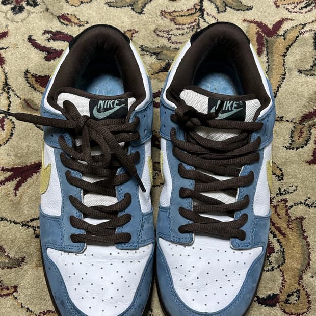 나이키 SB 덩크로우 호머 290