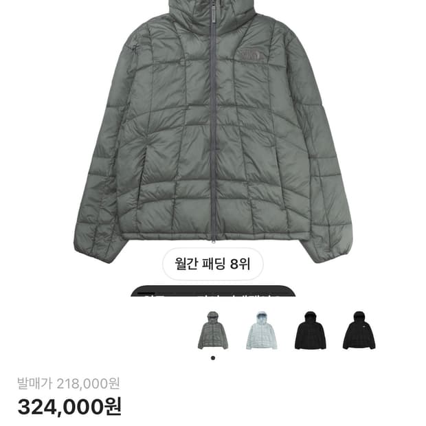 노스페이스 패딩