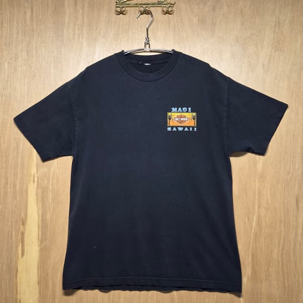 90s Harley Davidson
