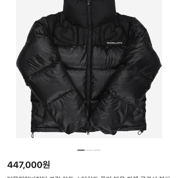 더뮤지엄비지터 패딩