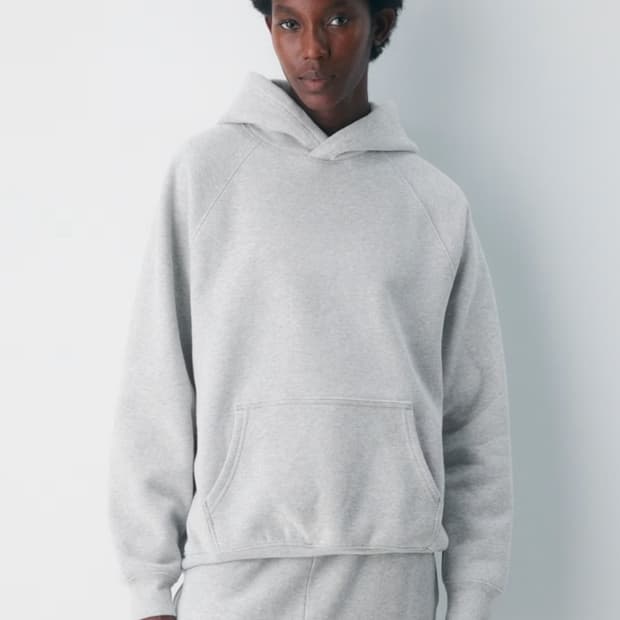 Aritzia 아리찌아 그레이 기모후드티