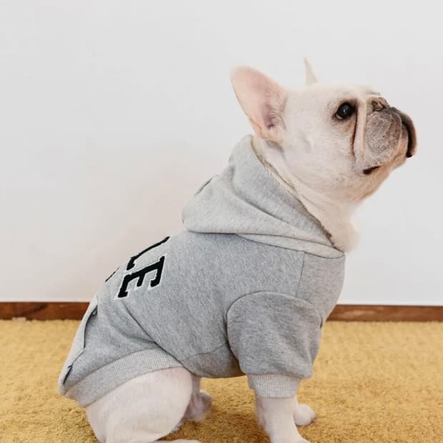 YALE 강아지 후드티 XL