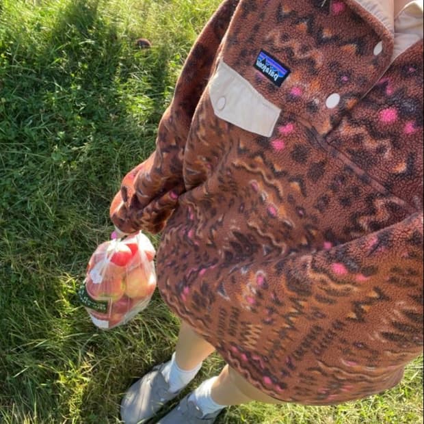 Patagonia Synchilla Snap-T