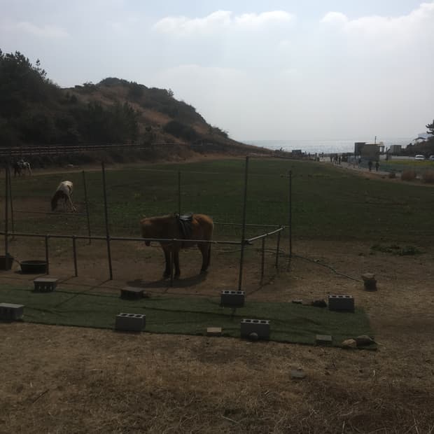 *freesbee님 개인결제창 (미니도트) - 💝*