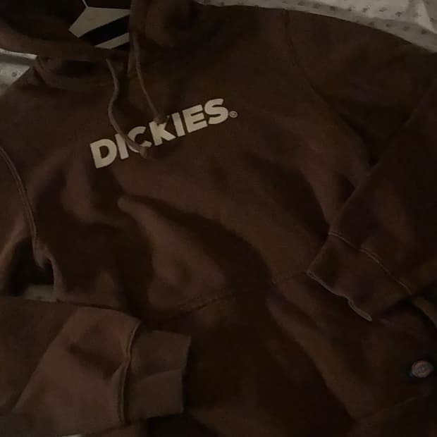 디키즈 브라운후드