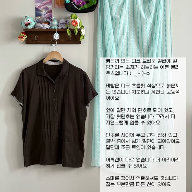 고동색 블라우스