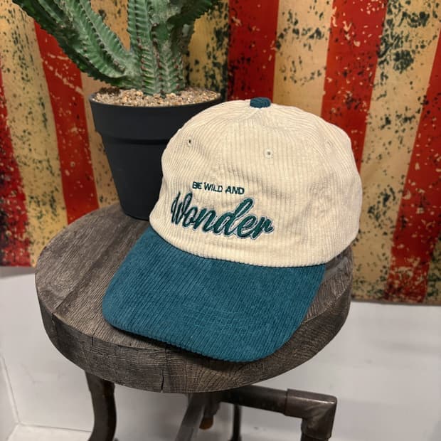 빈티지 원더 레터링 배색 코듀로이 볼캡 N265