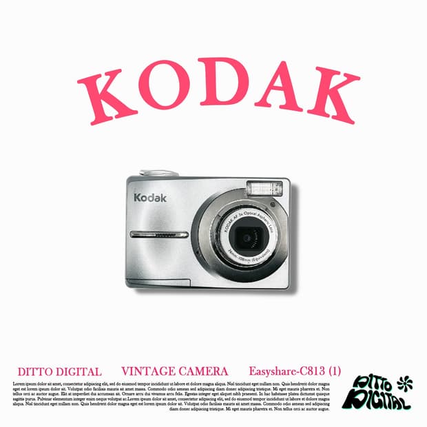 Kodak easyshare C813 Silver