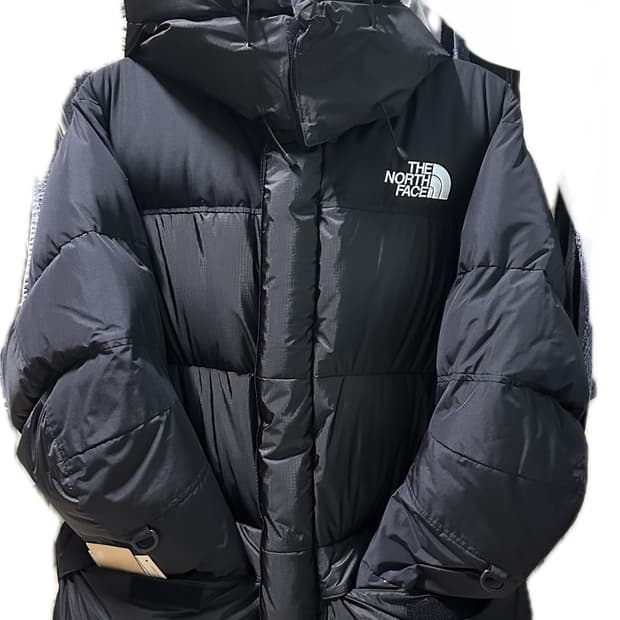 노스페이스 힘다운 일본판 L