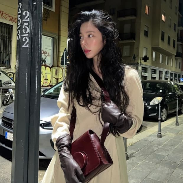 르메르 카메라백 베지터블 탠 레더 체리 마호가니