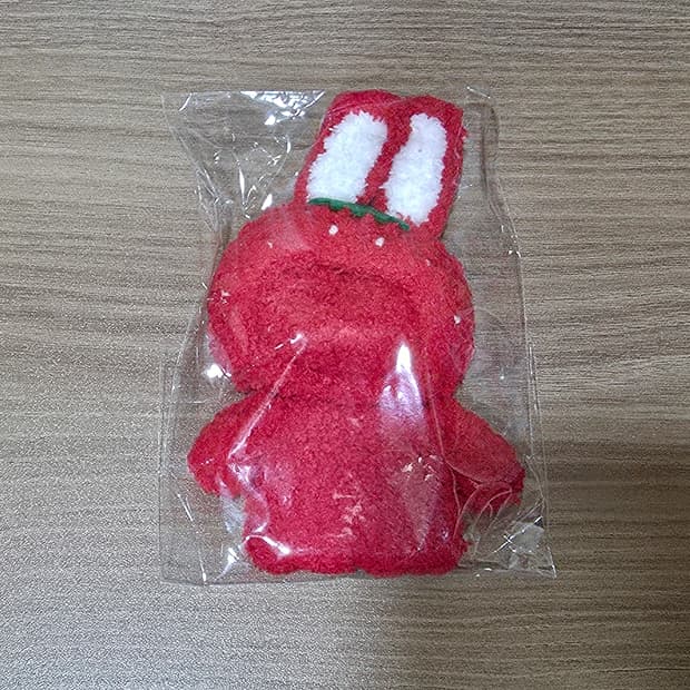 대두 몬치치 딸기 옷