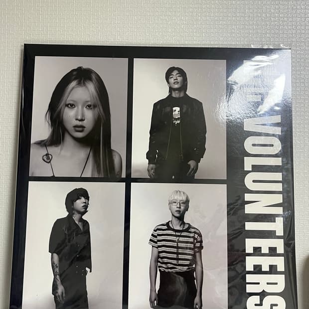 the volunteers 더 발룬티어스 lp 미개봉 