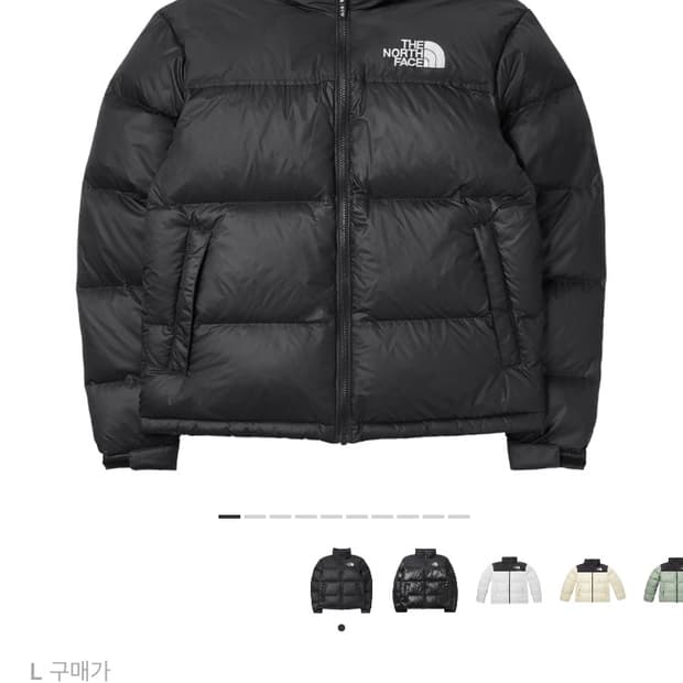 노스페이스 1996 에코 눕시 패딩 블랙 L