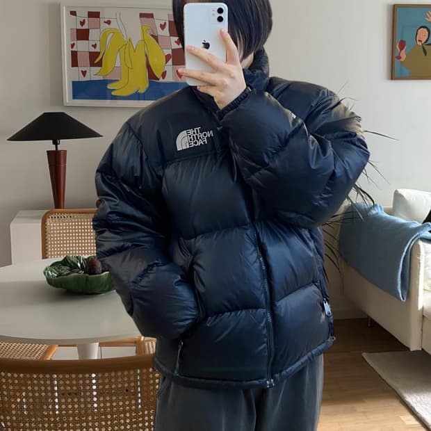 노스페이스 패딩 (Man L) AA0956