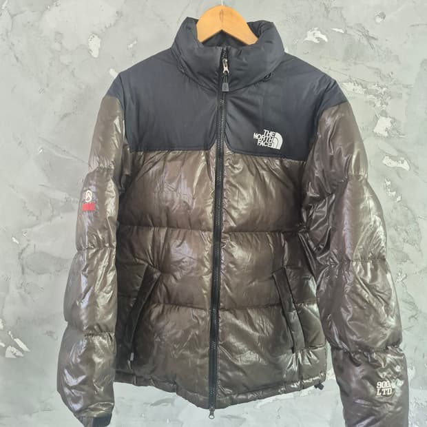 노스페이스 서밋시리즈 900 LTD 구스다운 L