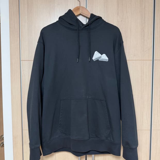 [XL] 팔라스 뇌하수체 후드티