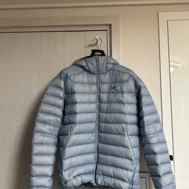 아크테릭스 세륨 후디 루센트 L