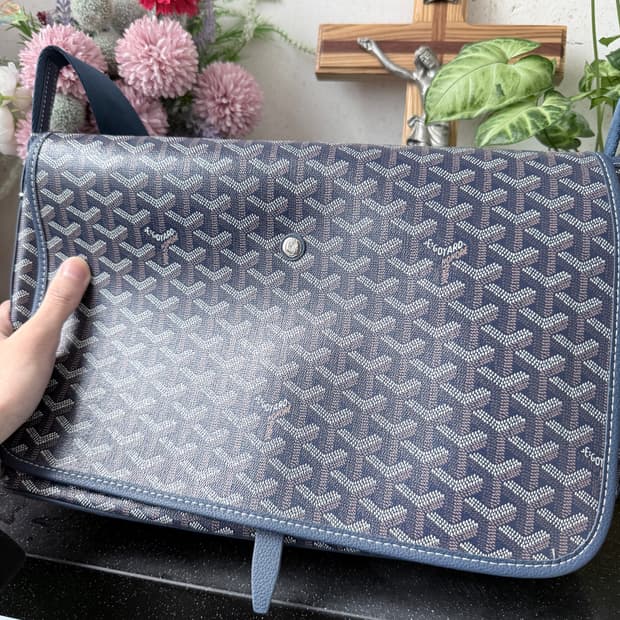 고야드 카페티엔 백