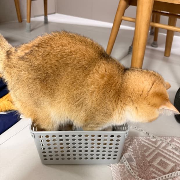 몽벨 예약 퍼플