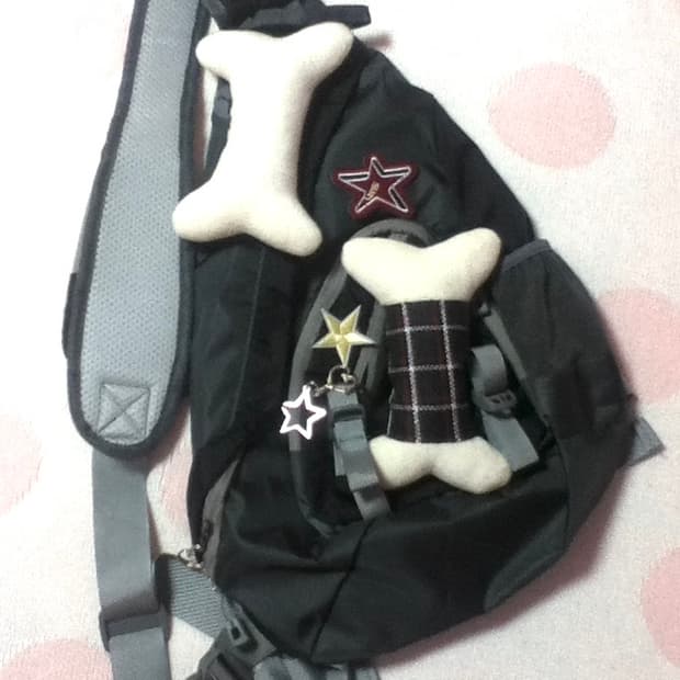 Vintage bone waist bag 
