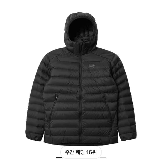 아크테릭스 세륨 후드 XL 새상품