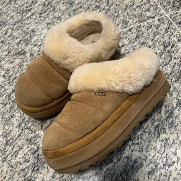 어그 타즐리타 체스트넛 240 ☃️