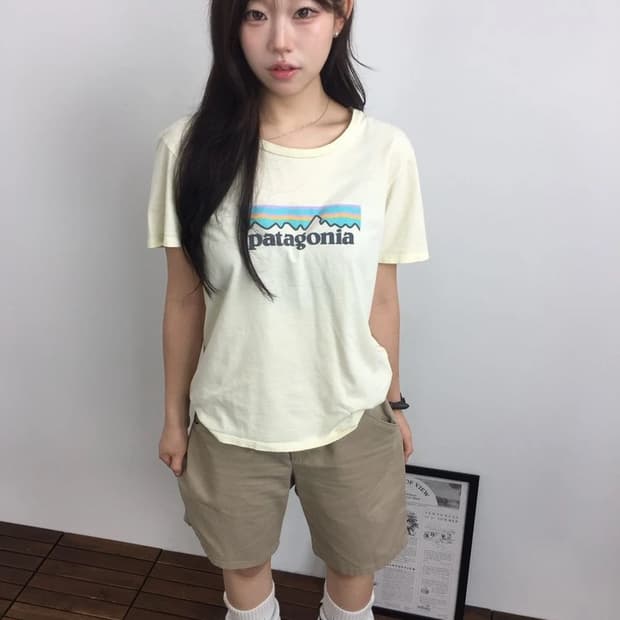 Patagonia Fitz Roy Logo Tee