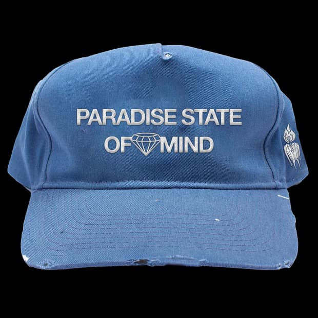 Fosterthepeople 모자 