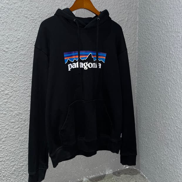 파타고니아 P-6 로고 후드티