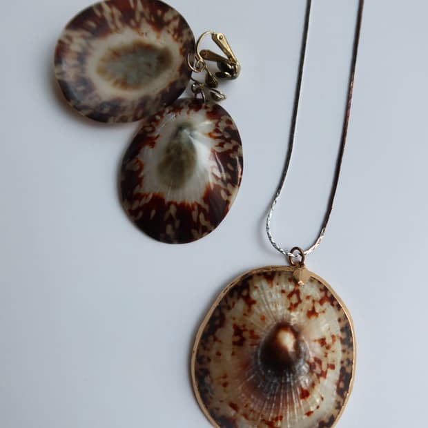leopard shell set
