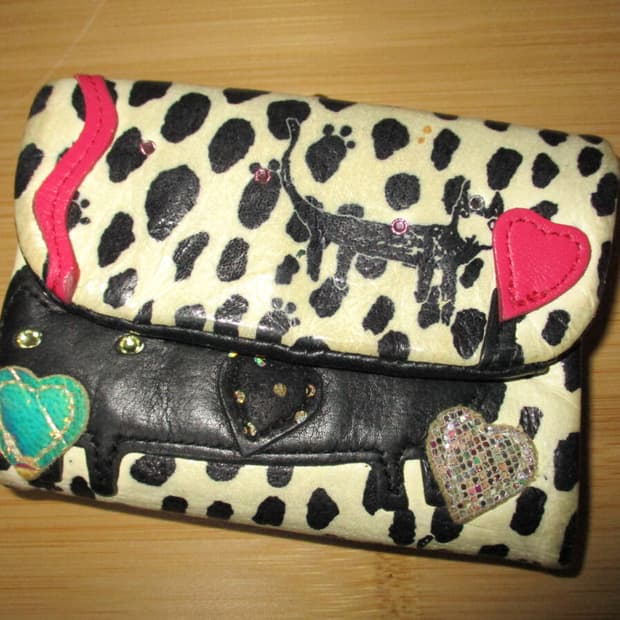 tsumori chisato 츠모리 치사토 가죽 지갑