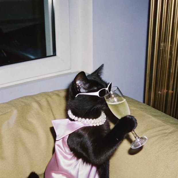 발렌시아가 수영복 s