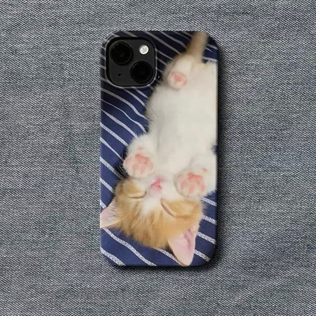Phone case