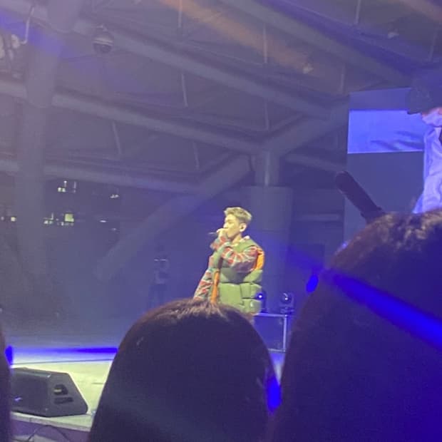 팔라스 패딩 베스트