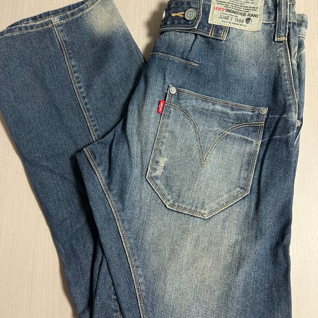 희귀 리바이스 엔지니어드 (28)