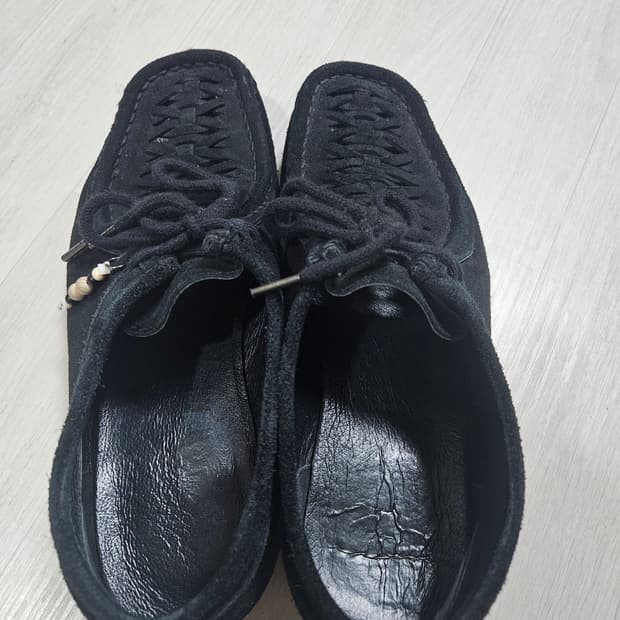 [3] 폴리테루 우븐 왈라비