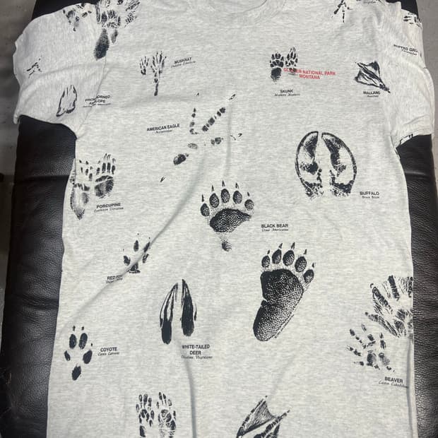 Usa 풀룻룸 국립공원발자국 티