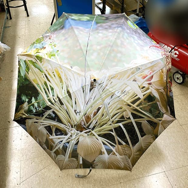 혁오 ep 사랑으로 머천 장우산